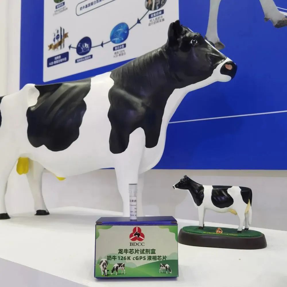 科技前沿|這款芯片，取得重要突破！(圖1)