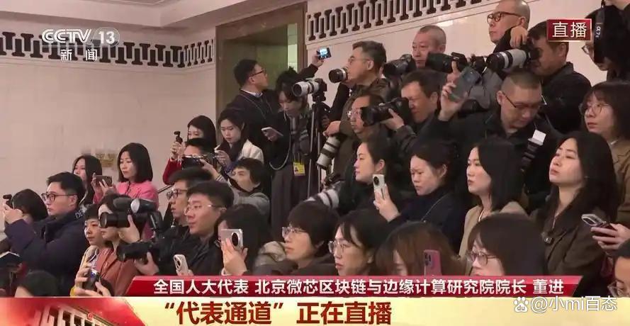 中國傳來好消息！全國人大代表宣布：我們自己搞定的芯片(圖1)